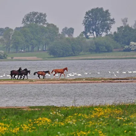 Appartamento Gollwitzer Park - Insel Poel-1 By Interhome Gollwitz